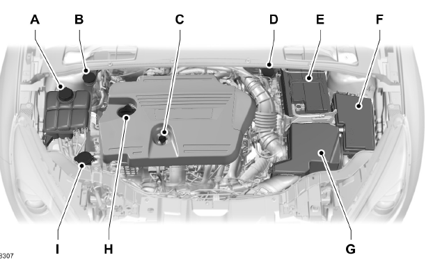 Vue d'ensemble sous le capot - 2.0L duratorq-tdci (dw) diesel