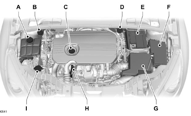Vue d'ensemble sous le capot - 1.5L duratorq-tdci diesel